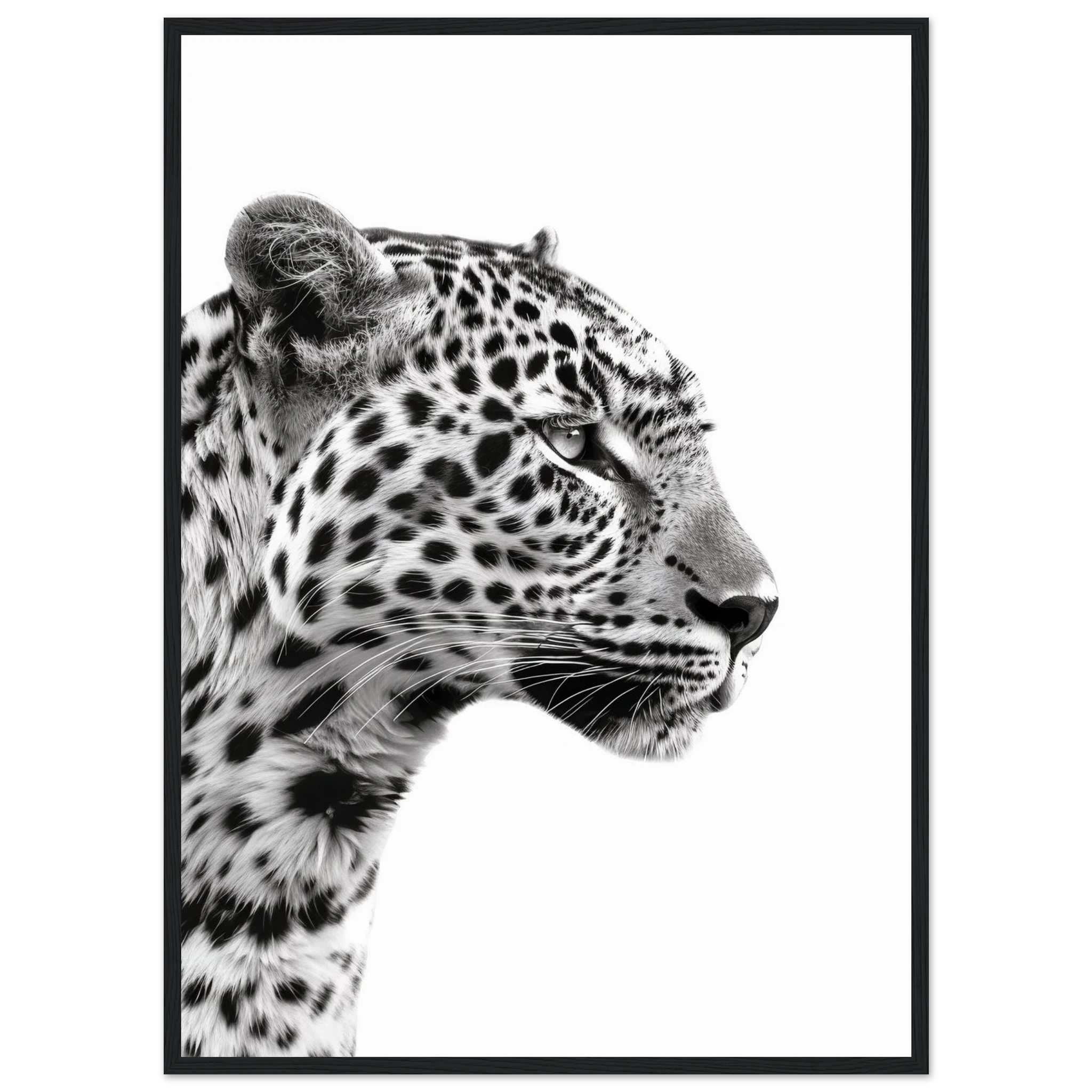 7d4efb50-5830-44d0-8655-9239f5900100